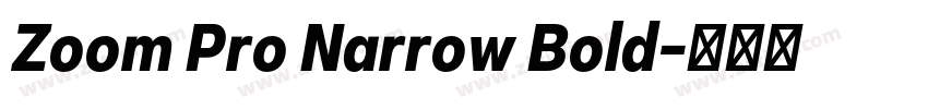 Zoom Pro Narrow Bold字体转换